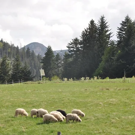 Jszi * Zakopane