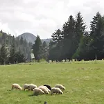 Jszi * Zakopane