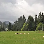 Jszi *