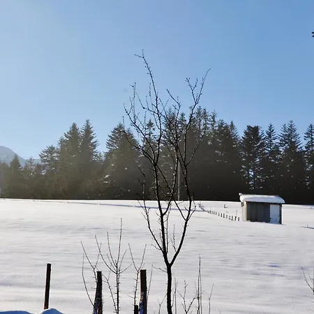 Lägenhet Jszi